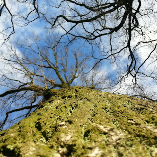 20130205