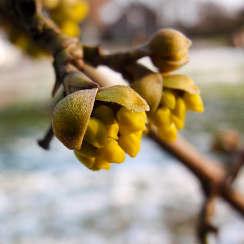 20130213