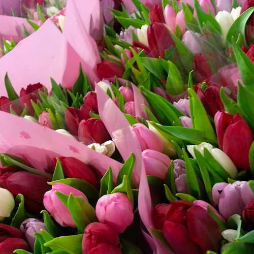 20130215