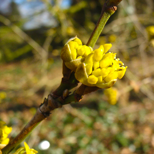 20130220