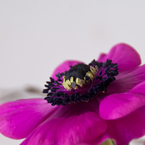20130223