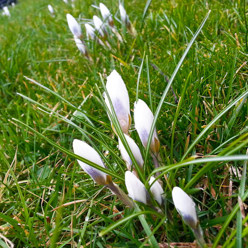 20130226