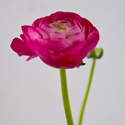 20130228