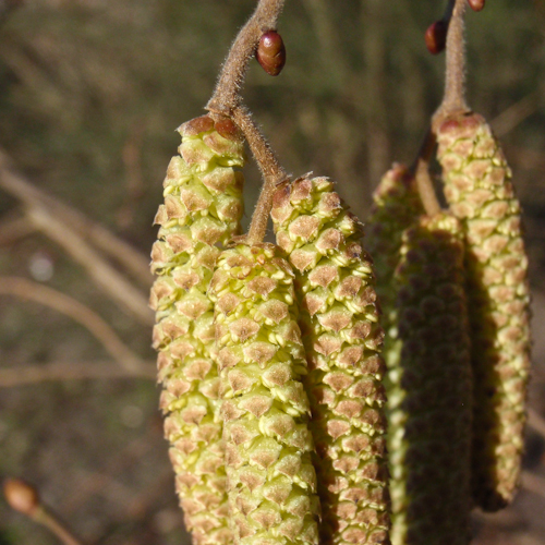 20130304