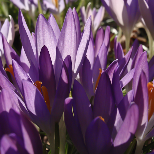 20130305