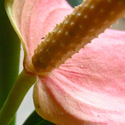 20130309