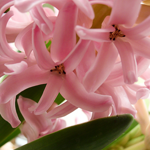 20130316