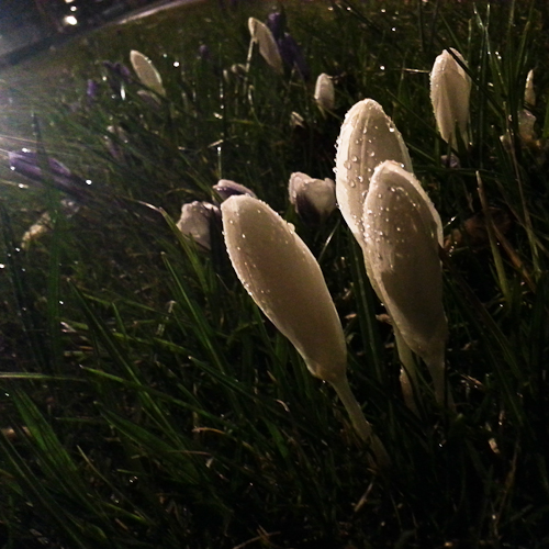 20130319