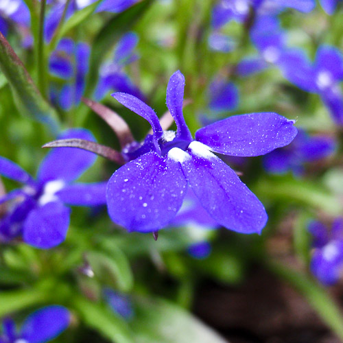 20130509