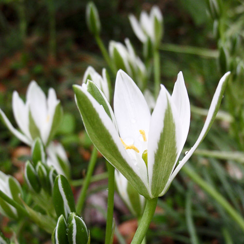 20130510