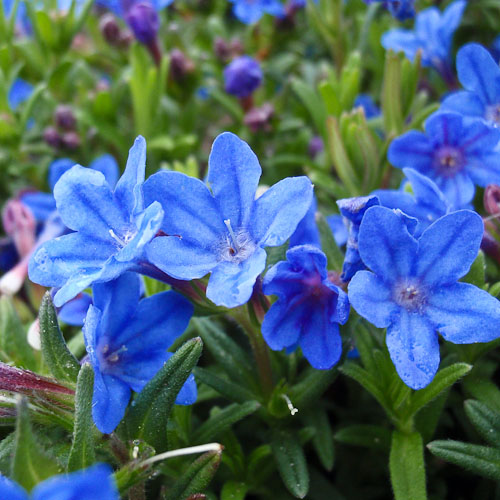 20130512