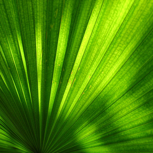 bloemenhoudenvanmensen.nl || Praha Zoo || project 365 || © Mieke de Weert