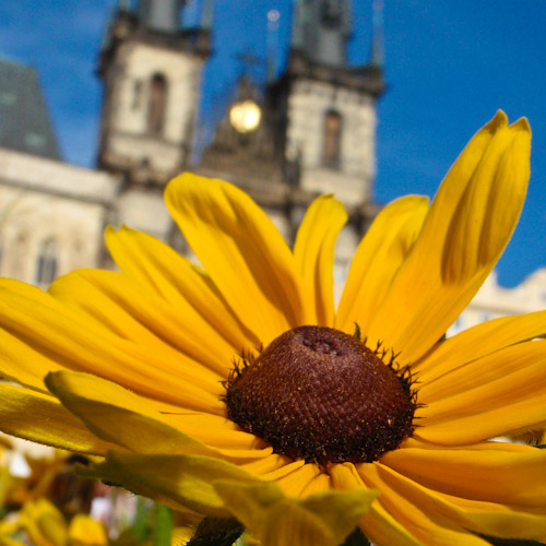 bloemenhoudenvanmensen.nl || Praag Oude Stadsplein || project 365 || © Mieke de Weert